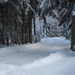 Erzgebirgsidyll * 布赖滕布伦