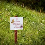 Erzgebirgsidyll