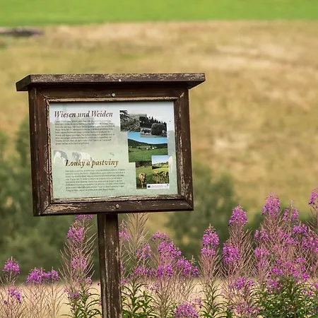 Erzgebirgsidyll Holiday home *
