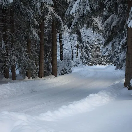 Erzgebirgsidyll * Breitenbrunn (Saxony)