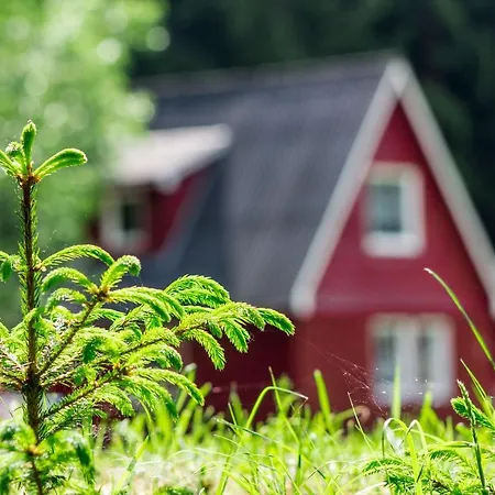 Holiday home Erzgebirgsidyll *