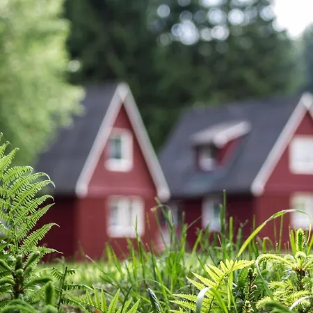 Erzgebirgsidyll Дом отдыха *