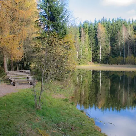 Erzgebirgsidyll Breitenbrunn (Saxony)