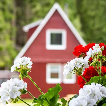 別荘 Erzgebirgsidyll ブライテンブルン