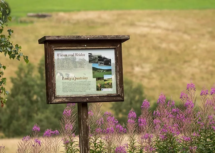 Erzgebirgsidyll Дом отдыха *