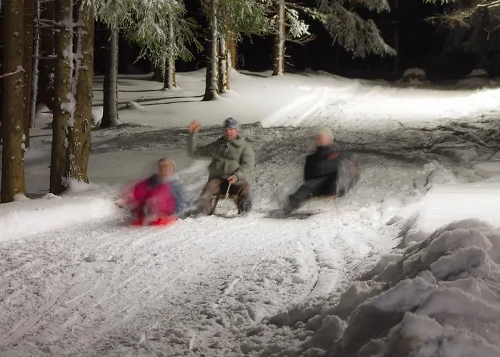 Дом отдыха Erzgebirgsidyll *