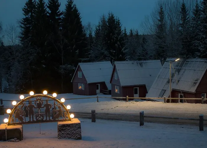 Erzgebirgsidyll Дом отдыха *