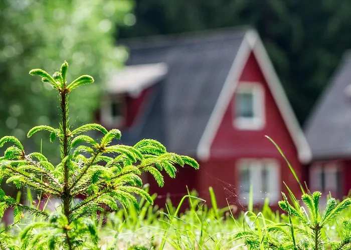 Дом отдыха Erzgebirgsidyll *