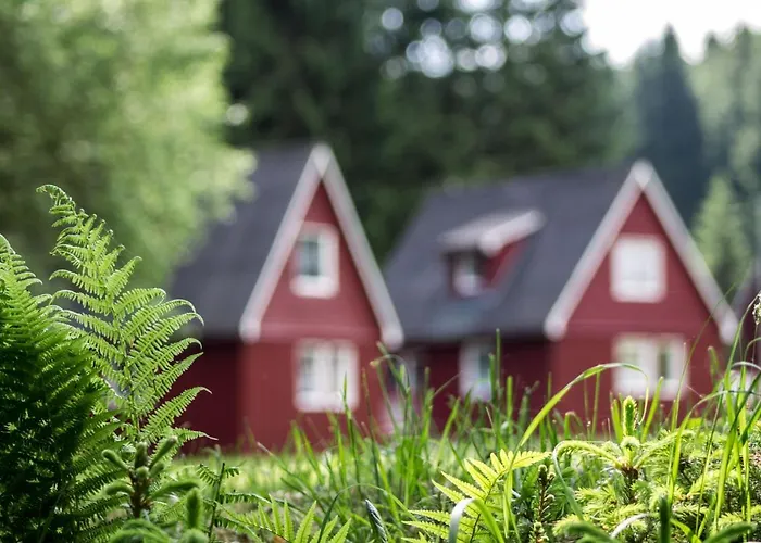 Erzgebirgsidyll Дом отдыха *