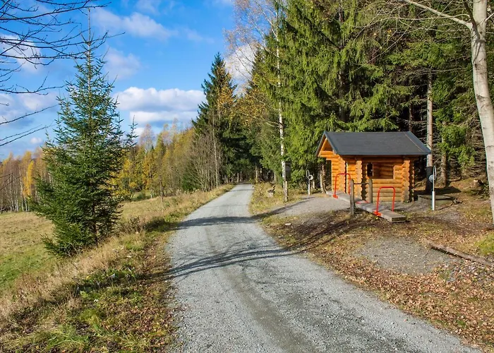 Erzgebirgsidyll Дом отдыха Брайтенбрунн