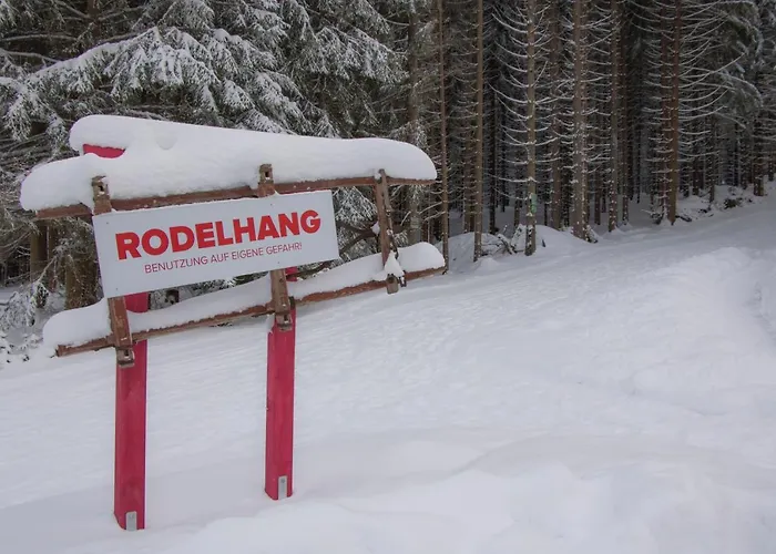 Erzgebirgsidyll Дом отдыха Брайтенбрунн