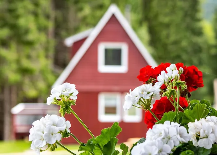 Дом отдыха Erzgebirgsidyll Брайтенбрунн